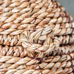 Aufbewahrung, HDRama, Natur