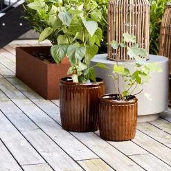 Blumentopf, HDGroove, Braun