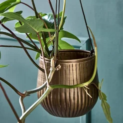 Blumentopf, HDPlan, Gold