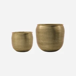 Blumentopf, HDSpot, Gold