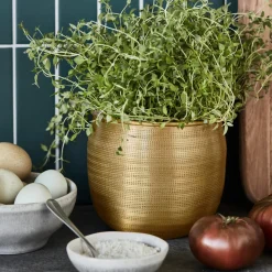 Blumentopf, HDSpot, Gold