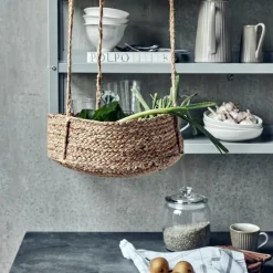 Hanging baskets, HDHaan, Natur