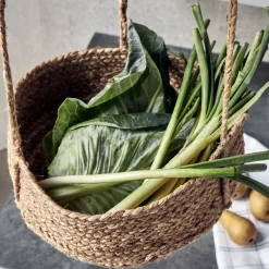 Hanging baskets, HDHaan, Natur