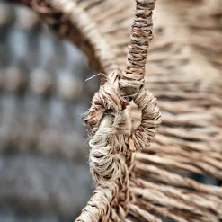 Laterne, HDDive, Natur