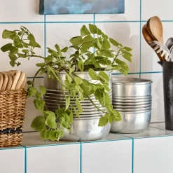 Pflanzer, HDGroove, Antiksilber-Finish