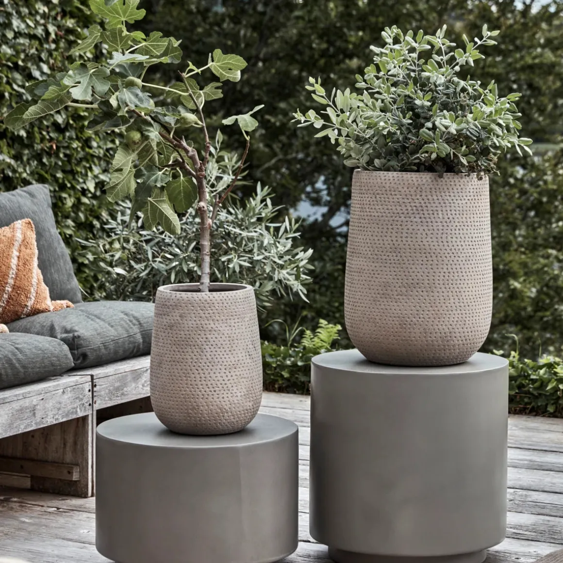 Planter, HDArdo, Nature