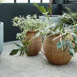 Planter, HDBoum, Nature