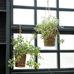 Planter, HDHover, Natural