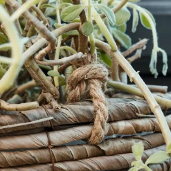 Planter, HDHover, Natural