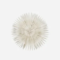 Stern, HDLayer, Weiß