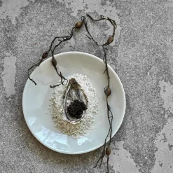 Teller, HDDiva, Hellblau