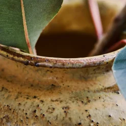 Vase, HDKolo, Senfgelb