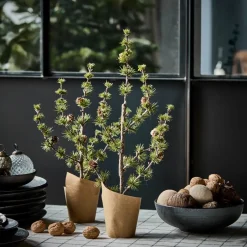 Weihnachtsbaum, HDStay, Grün