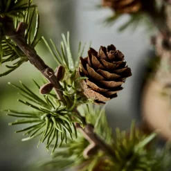 Weihnachtsbaum, HDStay, Grün