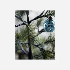 Weihnachtsbaum, Peuce, Natur